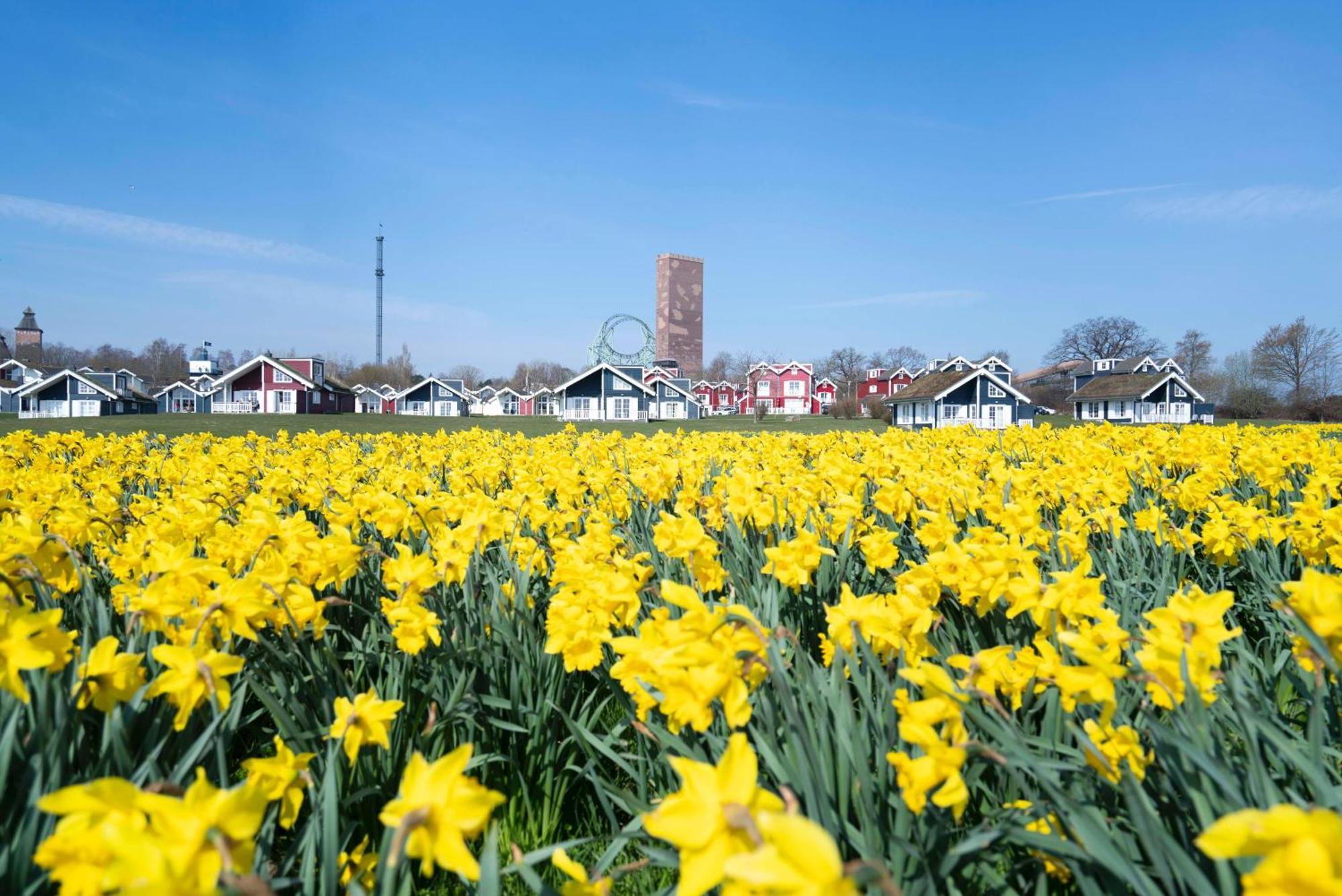 Strandpark Sierksdorf H092 Ostsehblick Exterior foto